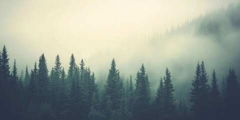 Poster - Misty, fog-covered mountain scenery featuring a fir forest and copyspace in a vintage retro hipster style.