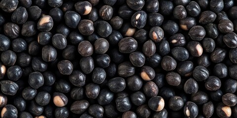 Wall Mural - Indian black chickpeas isolated.