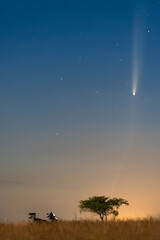 Poster - Comet C2023 A3 (TsuchinshanATLAS) Over a Lone Tree and Motorcycle on a Golden Meadow