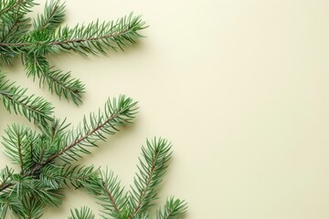 Poster - Flat lay composition with pine tree backgrounds christmas plant.