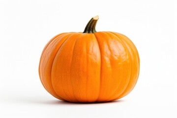 Canvas Print - Pumpkin vegetable squash plant.