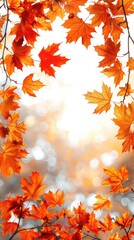 Wall Mural - autumn frame background with free place for text, maple leaves decorate a beautiful nature thanksgiving, scenery yellow red seasonal colorful mock up, white background