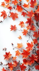 Wall Mural - Vertical autumn frame background with free place for text, maple leaves decorate a beautiful nature thanksgiving, scenery yellow red seasonal colorful mock up, white background