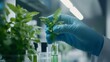 © irawan - Gloved Hand Holding a Plant in a Test Tube with Green Liquid