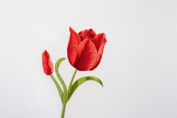 Sticker - Tulip flower petal plant.