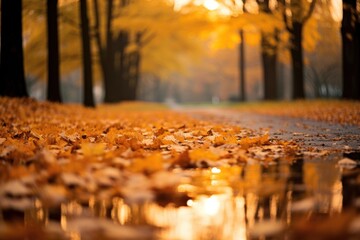 Poster - Leaves falling autumn backgrounds landscape.