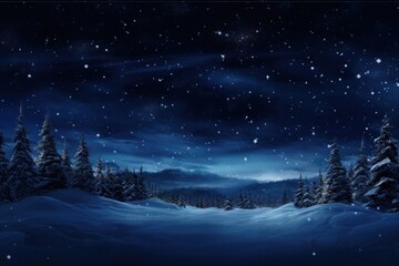 Canvas Print - Night winter view landscape outdoors nature.