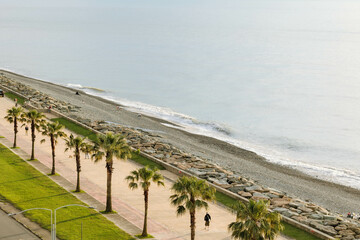 sea, coastline, palm trees, road, Black Sea, photo from above. Batumi, Georgia