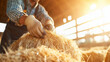 © AGCreative - Harvesting hay bales in barn, farmer works diligently under warm sunlight, showcasing hard work and dedication involved in agriculture