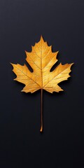 golden maple leaf on a dark background, perfect for autumn themes and nature-inspired designs.