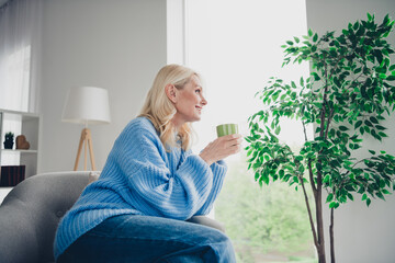 Wall Mural - Photo of pretty aged woman enjoy coffee look window wear pullover free time modern apartment indoors