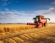 © RifaldiMuhammadSalim - red harvester (combine harvester) operating in a large barley field. generative ai