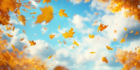 Wall Mural - autumn leaves falling in the sky nature leaf outdoors.