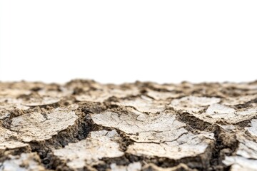 Poster - Close up shot of a dirt field on a white background
