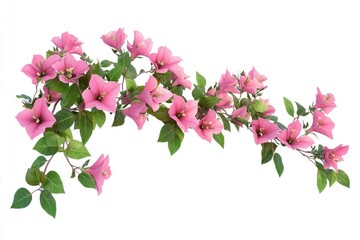 Poster - A close-up shot of a branch featuring pink flowers and green leaves