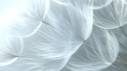 Sticker - 3D Soft Focus White Dandelion Seeds Close-Up: Beautifully Blurred Edges, Capturing Drift and Letting Go for Janeiro Branco - Ideal Nature Concept Icon