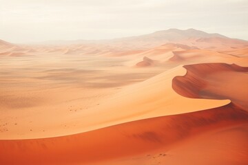 Wall Mural - The namib desert landscape outdoors horizon.