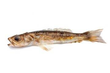 Sticker - A single fish lying on a white surface