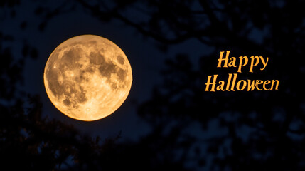 halloween background in a moonlight