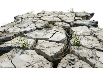 Poster - A dry and cracked ground with small plants growing out of it, suitable for use in illustrations about nature, environment or climate