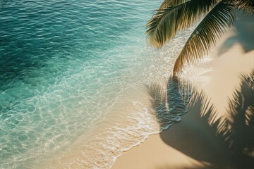  Serene tropical beach with gentle waves and palm shadows