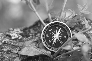 classic navigation compass on natural background