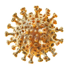 Poster - Detailed illustration of a virus showing surface structures, depicting its intricate morphology under high magnification in a scientific context
