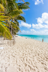 Wall Mural - Plage l’île Maurice 