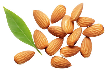 Wall Mural - PNG Almonds almond food seed.