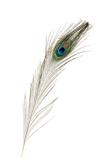 Sticker - One beautiful peacock feather isolated on white