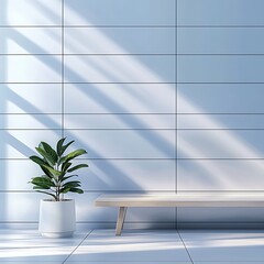 Canvas Print - A minimalist interior featuring a bench, potted plant, and soft sunlight creating a serene atmosphere.