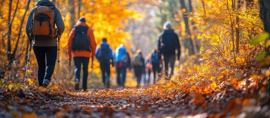 a group of people hiking in the forest with yellow fall leaves on the ground.