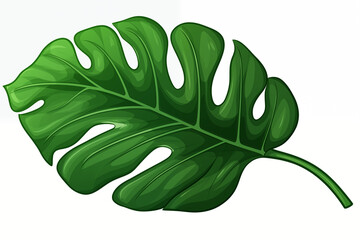 Wall Mural - A vector hand drawn tropical leaf isolated on transparent background