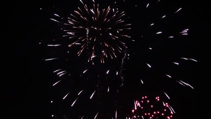 Wall Mural - Spectacular Fireworks Display in the Night Sky , A Celebration of Color and Light.