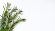 © SaddhaVisual - Rosemary pattern with side position provides copy space for text. background concept isolated white