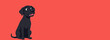 © yuntunen - smiling black Dog sitting looking at camera, red  pastel solid background