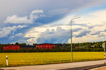 Wall Mural - Red buildings near green field with dramatic cloudy sky during summer evening. Sweden.