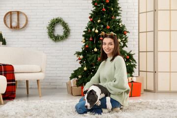 Wall Mural - Young woman in reindeer horns with cute Staffordshire Terrier puppy at home on Christmas eve