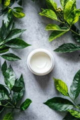 Wall Mural - A white jar of moisturizer with creamy texture is placed on a polished grey surface, next to bright green leaves. The simplicity of the grey background highlights the natural elements, promoting a