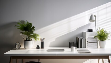 Canvas Print - a minimalist workspace setup on a white background with bright natural lighting enhancing the scene