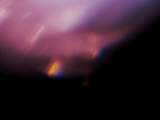 Wall Mural - colorful light leak on dark background. cinematic visual lens effect for design and creative ideas. 