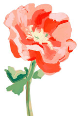 Poster - PNG Poppy flower painting plant.