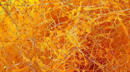 a chaotic array of intersecting lines and shapes in shades of orange and yellow resembling a birds e