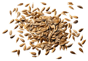 Wall Mural - PNG  Scattered sunflower seeds food white background ingredient.