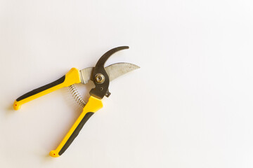 Pruning scissors. Garden trimmer. Scissors for working in the garden with various layouts isolated on a white background.