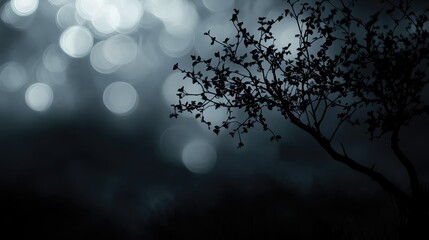 Poster - Black Bokeh with Tree Silhouette on Dark Background