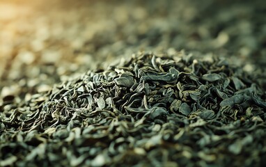 Brewed dried green tea leaves in a closeup perspective, illustrating their application as an organic fertilizer to enrich soil quality and promote plant growth