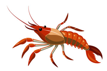 Canvas Print - river lobster isolated on the white background vector illustration