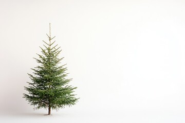 Wall Mural - A Single Evergreen Tree in a Snowy Field Against a White Background