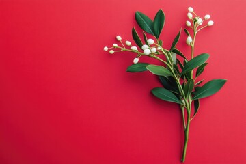 Canvas Print - White Flowers and Green Leaves on a Red Background